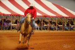6666 Ranch 2015 "Return to the Ramuda" Horse Sale