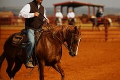 6666 Ranch 2015 "Return to the Ramuda" Horse Sale